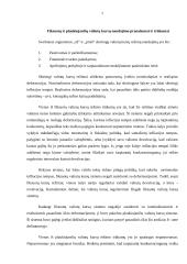 Valiutos kurso režimai 7 puslapis