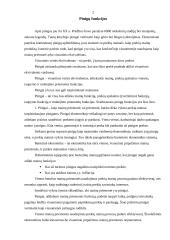 Valiutos rinka ir kursai 2 puslapis