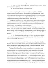 Valiutos rinka ir kursai 12 puslapis