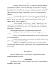 Valiutos rinka ir kursai 16 puslapis