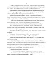 Valiutos rinka ir kursai 3 puslapis