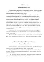 Valiutos rinka ir kursai 4 puslapis