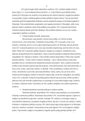 Valiutos rinka ir kursai 8 puslapis