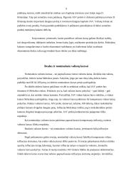 Valiutos rinka ir kursai 9 puslapis