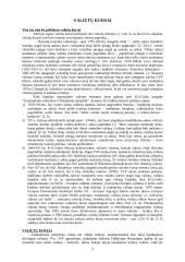 Valiutų kursai 3 puslapis