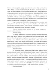 Valiutų kurso įtaka vietiniam ir tarptautiniam verslui 13 puslapis