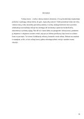 Valiutų kurso įtaka vietiniam ir tarptautiniam verslui 16 puslapis