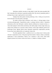 Valiutų kurso įtaka vietiniam ir tarptautiniam verslui 3 puslapis