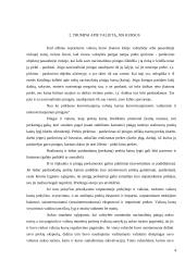 Valiutų kurso įtaka vietiniam ir tarptautiniam verslui 4 puslapis