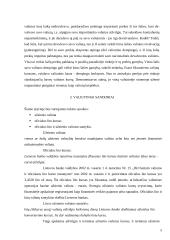 Valiutų kurso įtaka vietiniam ir tarptautiniam verslui 5 puslapis