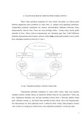 Valiutų kurso įtaka vietiniam ir tarptautiniam verslui 7 puslapis