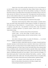 Valiutų kurso įtaka vietiniam ir tarptautiniam verslui 8 puslapis