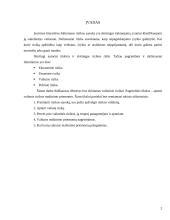 Valiutų rizikos mažinimo priemonės 2 puslapis