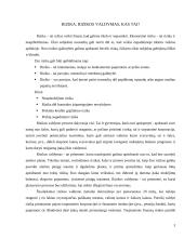 Valiutų rizikos mažinimo priemonės 3 puslapis