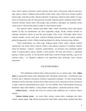 Valiutų rizikos mažinimo priemonės 4 puslapis