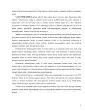 Valiutų rizikos mažinimo priemonės 5 puslapis