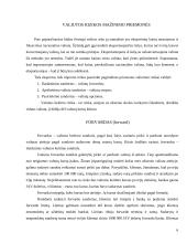 Valiutų rizikos mažinimo priemonės 6 puslapis