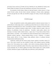 Valiutų rizikos mažinimo priemonės 7 puslapis