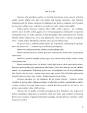 Valiutų rizikos mažinimo priemonės 8 puslapis