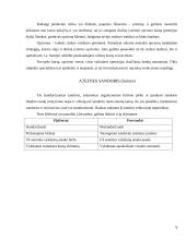 Valiutų rizikos mažinimo priemonės 9 puslapis