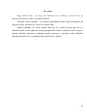 Valiutų rizikos mažinimo priemonės 10 puslapis