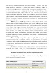 Valiutų valdybos sistema. Lito kurso režimo pasirinkimas 3 puslapis