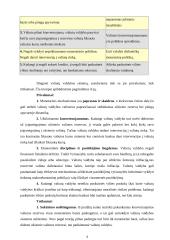 Valiutų valdybos sistema. Lito kurso režimo pasirinkimas 4 puslapis