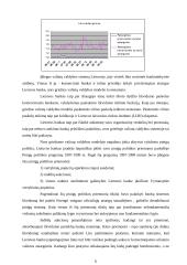 Valiutų valdybos sistema. Lito kurso režimo pasirinkimas 6 puslapis