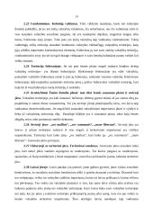 Valstybės elementai: tauta, teritorija ir valdžia 13 puslapis