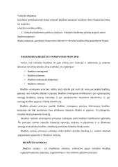 Valstybės biudžeto principai 2 puslapis