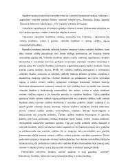 Valstybės biudžeto principai 3 puslapis