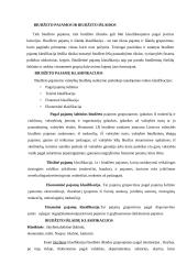 Valstybės biudžeto principai 4 puslapis