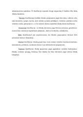 Valstybės biudžeto principai 5 puslapis