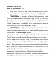 Valstybės biudžeto principai 6 puslapis