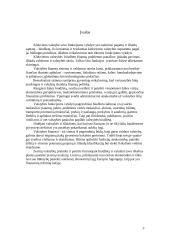 Valstybės biudžeto formavimo ypatumai 3 puslapis