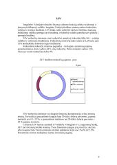 Valstybės biudžeto formavimo ypatumai 9 puslapis