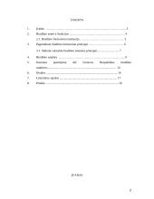 Valstybės biudžeto sandara ir formavimo principai 2 puslapis