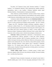 Valstybės biudžeto sandara ir formavimo principai 12 puslapis