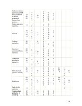 Valstybės biudžeto sandara ir formavimo principai 19 puslapis