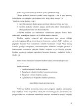 Valstybės biudžeto sandara ir formavimo principai 3 puslapis