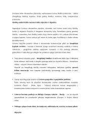 Valstybės ekonominės politikos teoriniai ir metodologiniai aspektai 13 puslapis