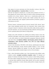 Valstybės ekonominės politikos teoriniai ir metodologiniai aspektai 20 puslapis