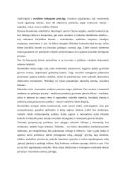 Valstybės ekonominės politikos teoriniai ir metodologiniai aspektai 4 puslapis