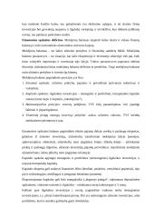 Valstybės ekonominės politikos teoriniai ir metodologiniai aspektai 9 puslapis