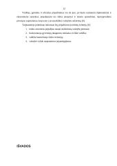 Valstybės elementai 11 puslapis