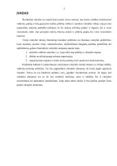 Valstybės elementai 2 puslapis