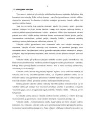 Valstybės elementai 8 puslapis