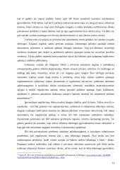 Valstybės finansiniai ištekliai ir reikšmė darnaus vystymosi kontekste 13 puslapis