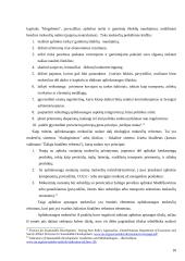 Valstybės finansiniai ištekliai ir reikšmė darnaus vystymosi kontekste 10 puslapis