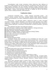 Valstybės formos 11 puslapis